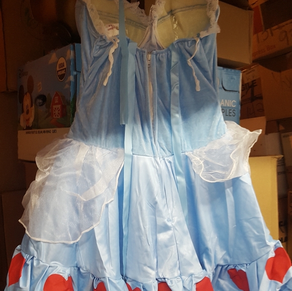 Rebel Toons Alice in Wonderland Adult Costume sz LARGE LAST ONE - Picture 11 of 14